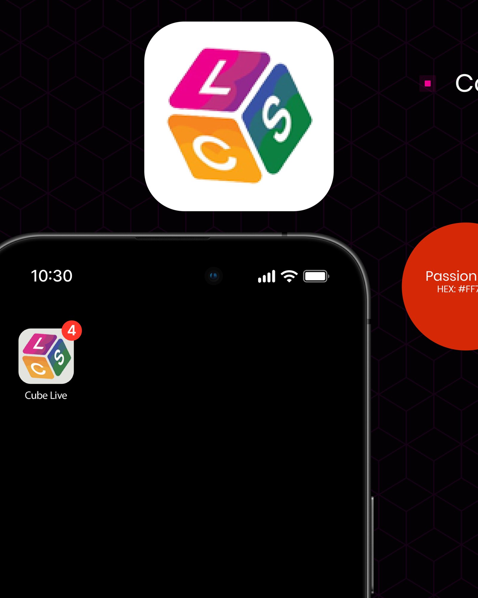Brand Overview — 1