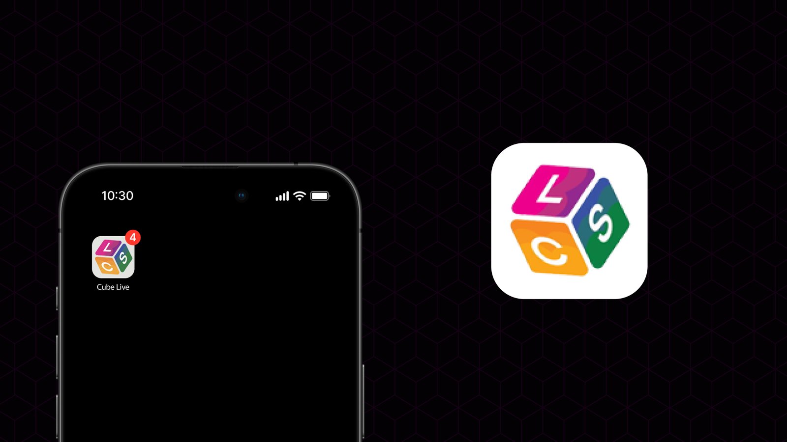 Project Overview — 1