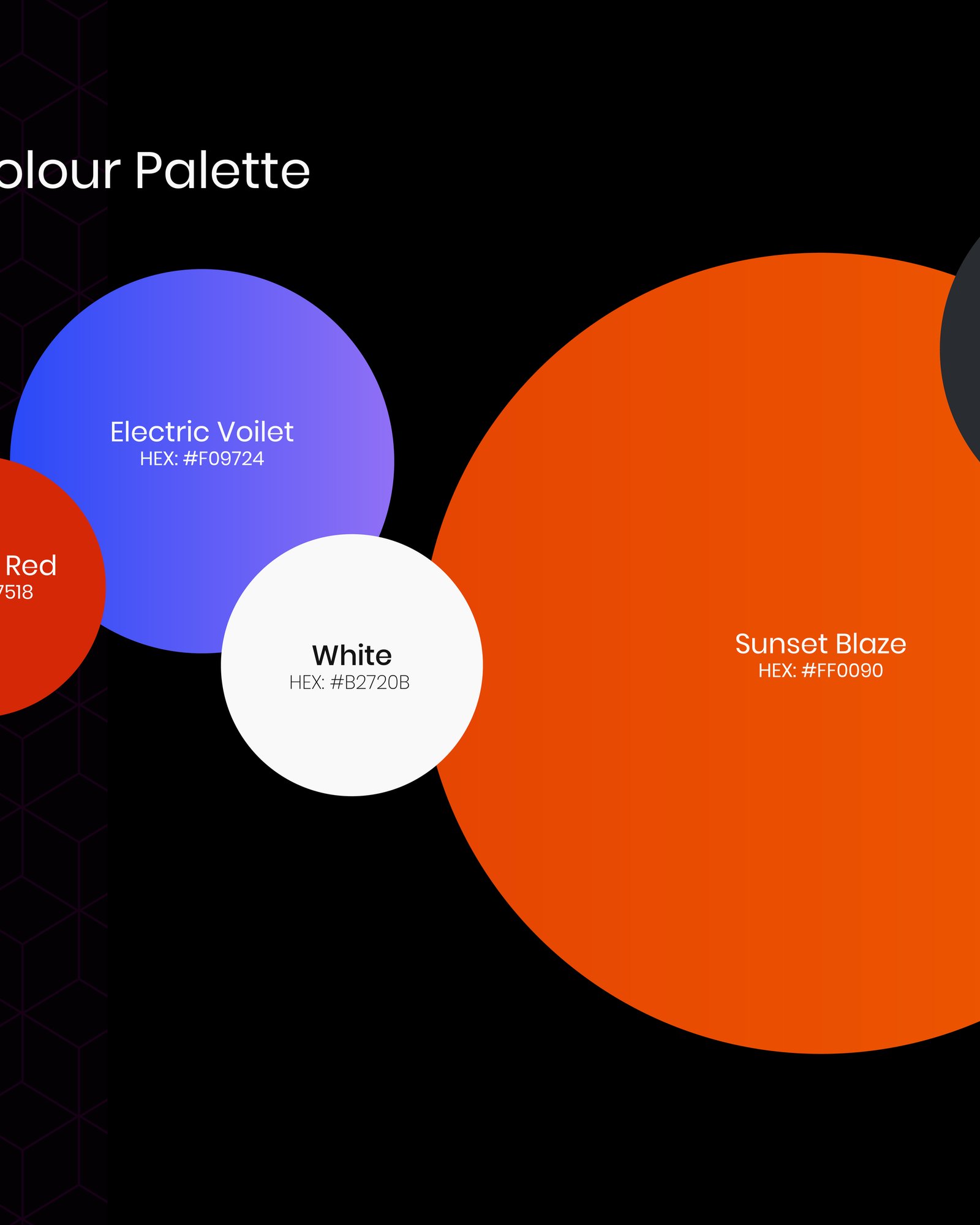Brand Overview — 2